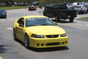 Mustang